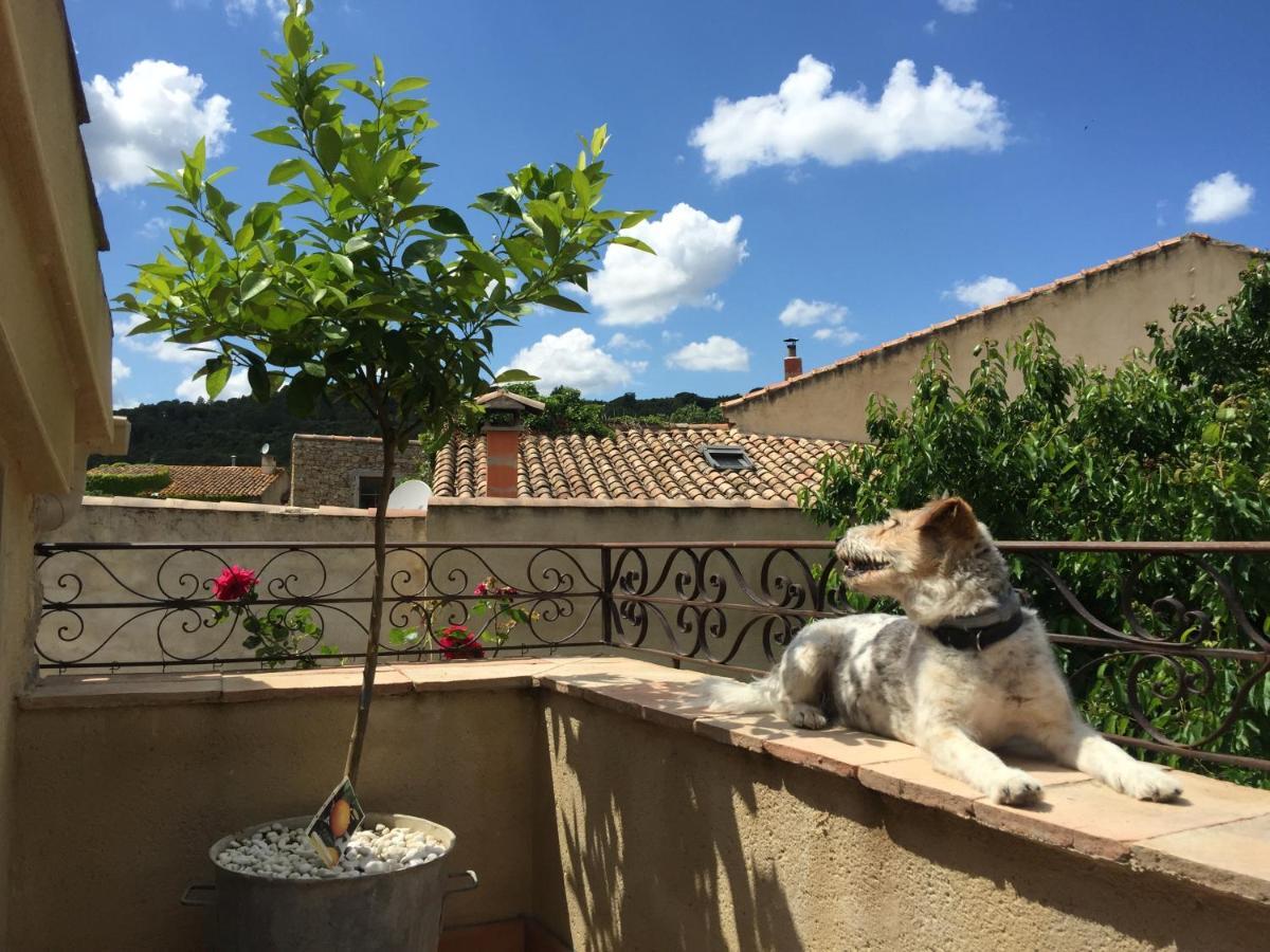 Holidays In Lagrasse Extérieur photo